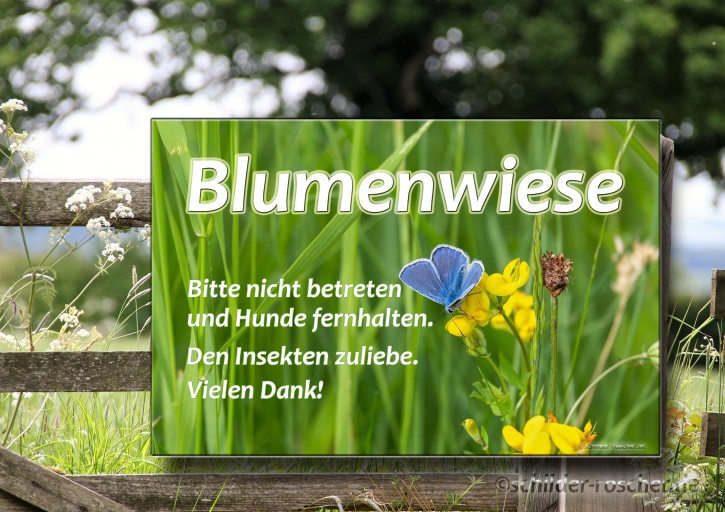 Schild Blumenwiese Natur Bitte nicht betreten und Hunde fernhalten #2