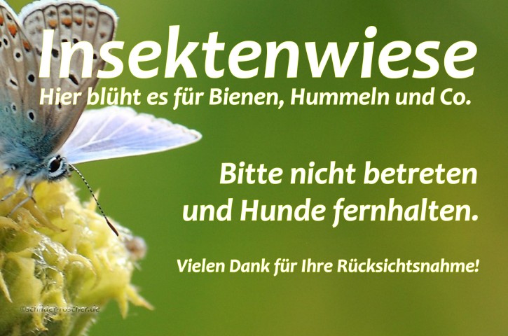 Schild Insektenwiese Natur#11