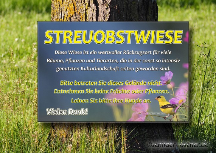 Schild Streuobstwiese Vogel Natur#8